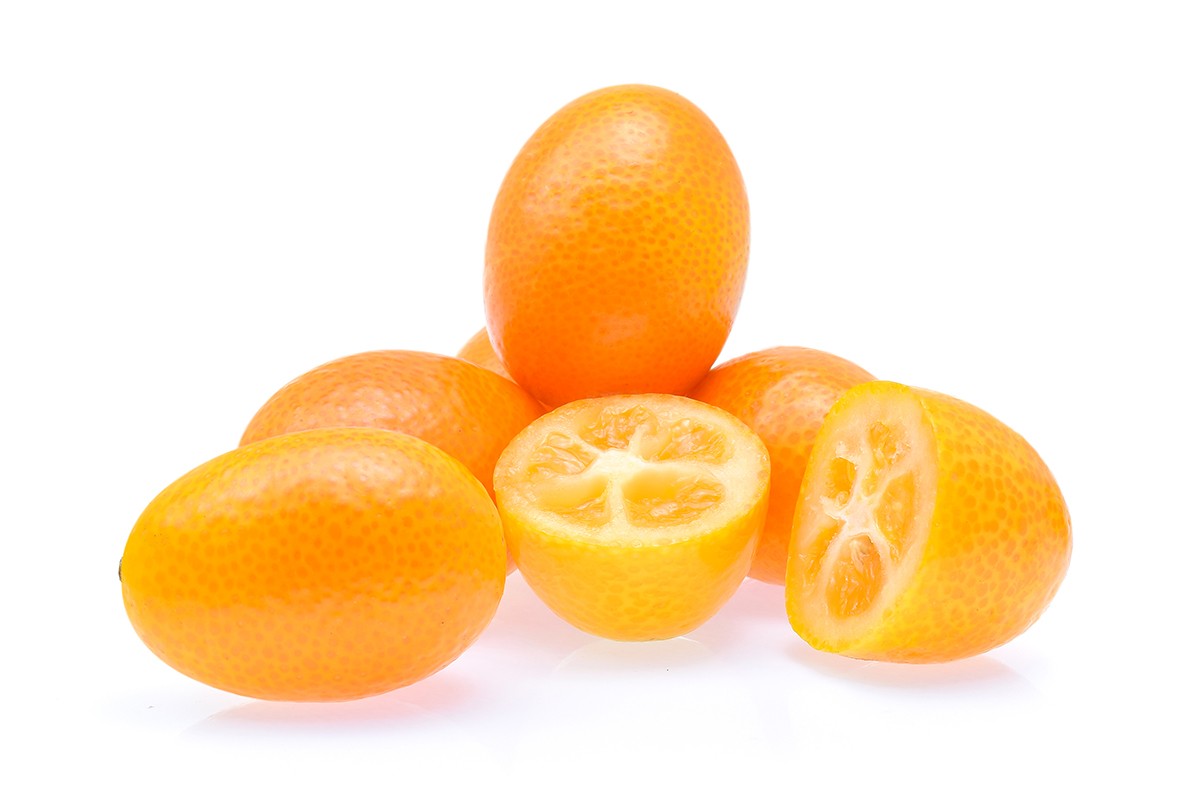 Kumquat 3
