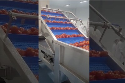 Meyve ve Sebze Dilimleme Hattı Segment Kesme