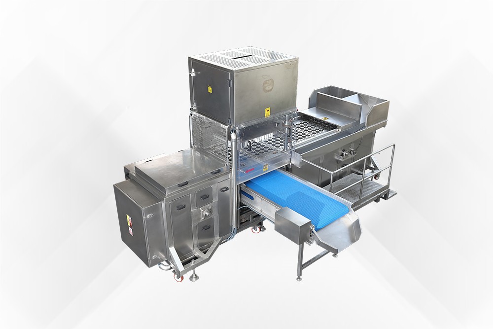 Semi Automatic Slicing Machine with Apple Cutting Slice