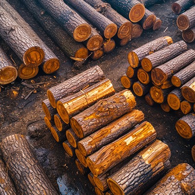 Forest Products